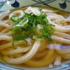 かけうどん