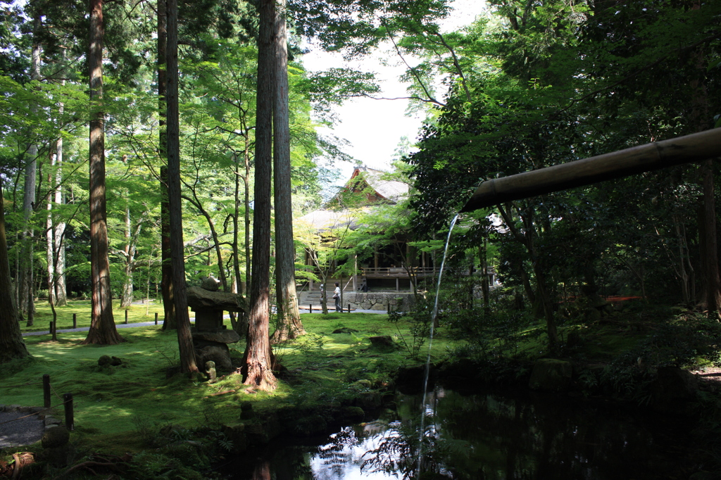 大原　三千院の庭園