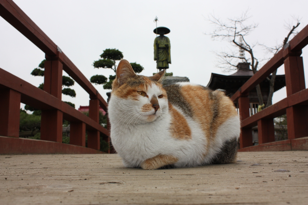 高僧の愛弟子