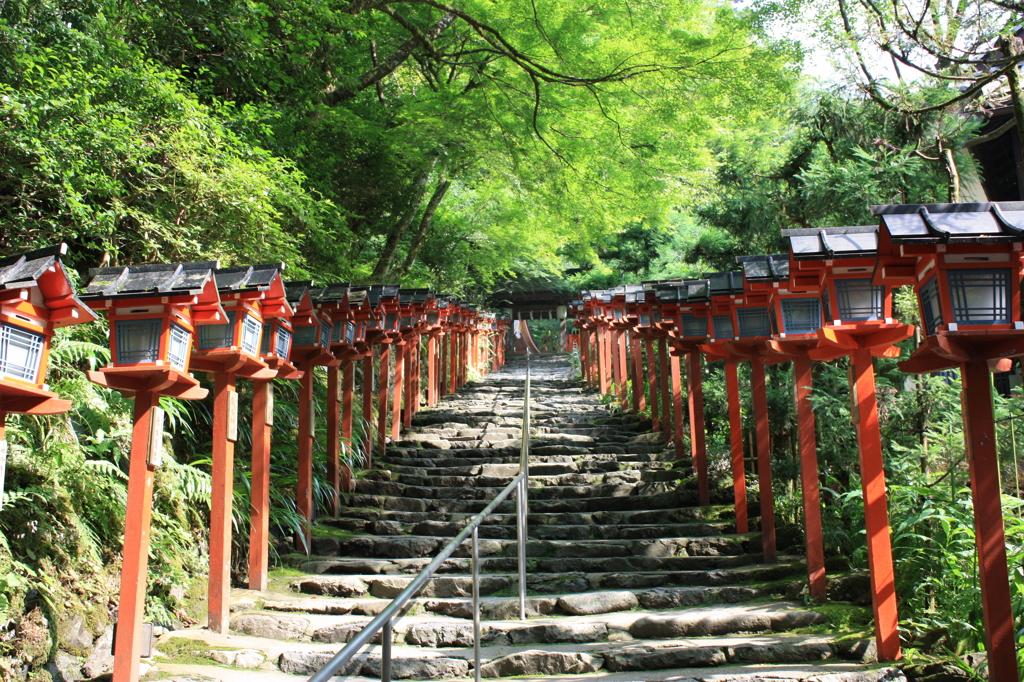 初夏の貴船神社参道