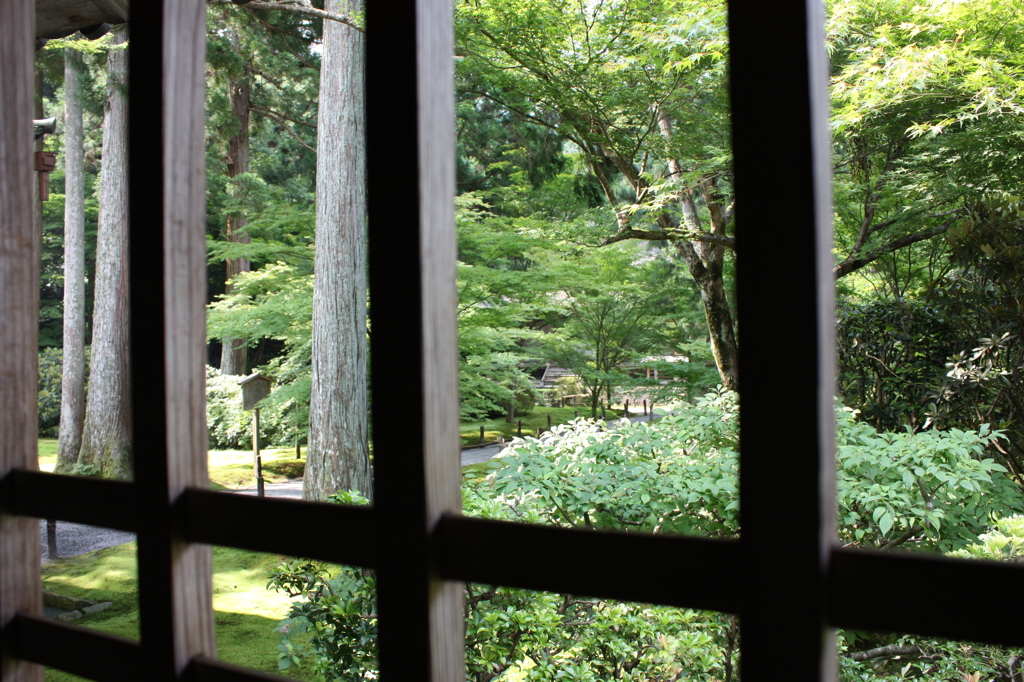 格子の向こうは緑の庭園