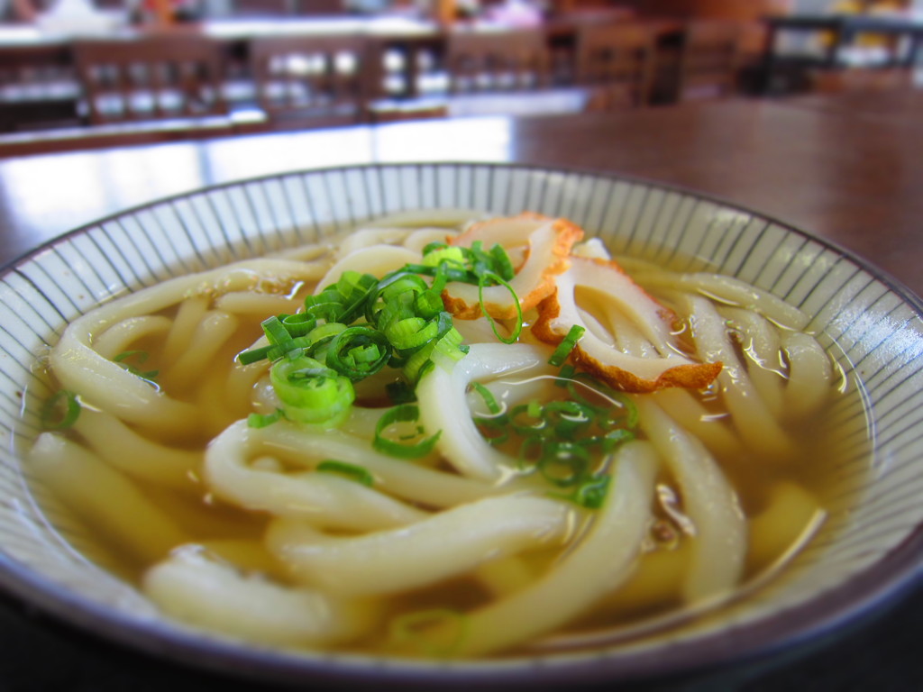 讃岐うどん　かけうどん