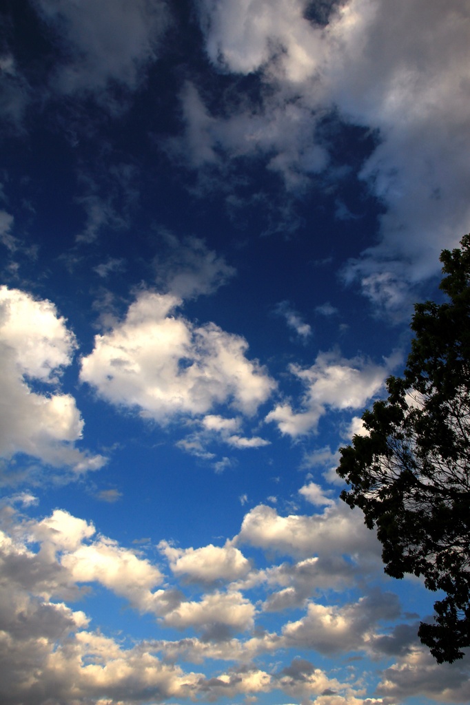夕刻の空