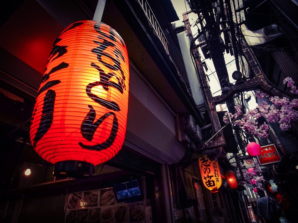 Shinjuku Omoide Yokocho ⑵