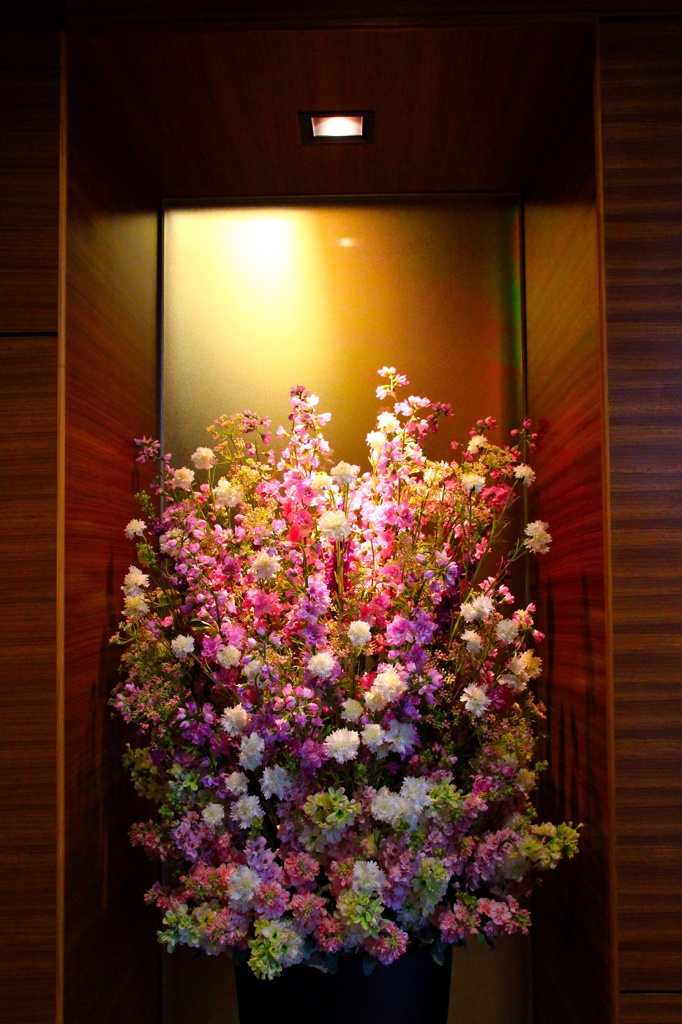 Haneda Airport in 2014 XXX