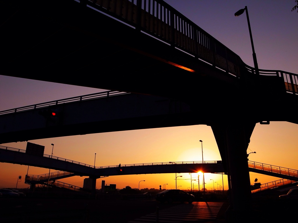 Scene of the sunset