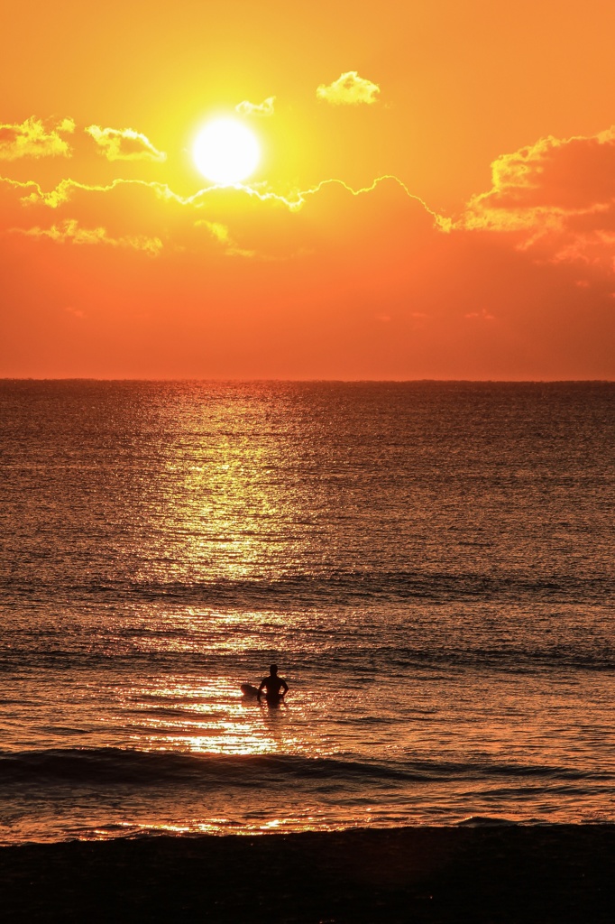 Surfer of the sunrise