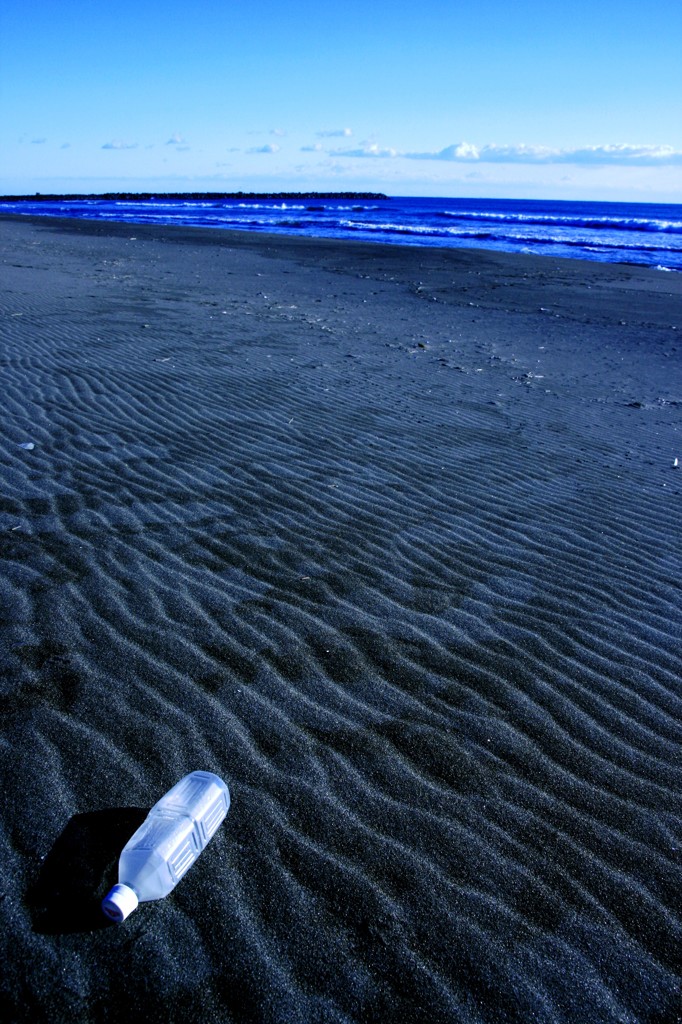 砂紋の海