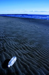 砂紋の海