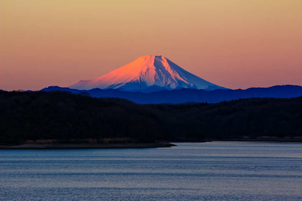 狭山湖より富士を望む