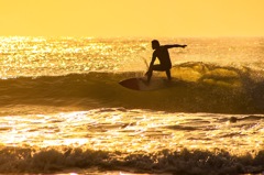 Morning surfer