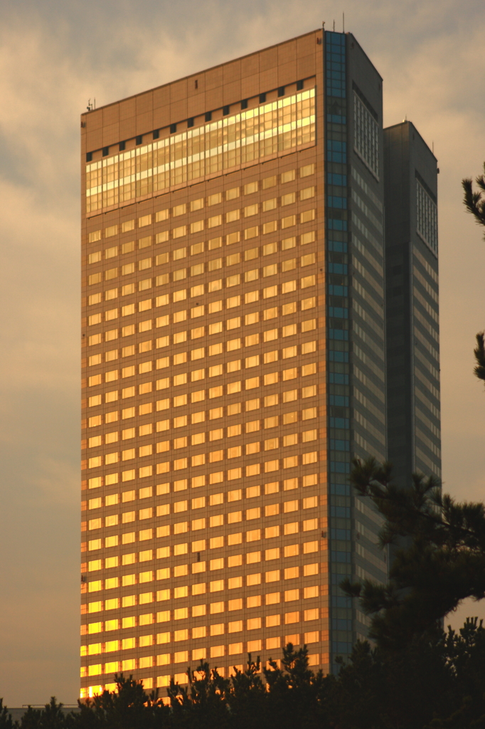 黄金の朝