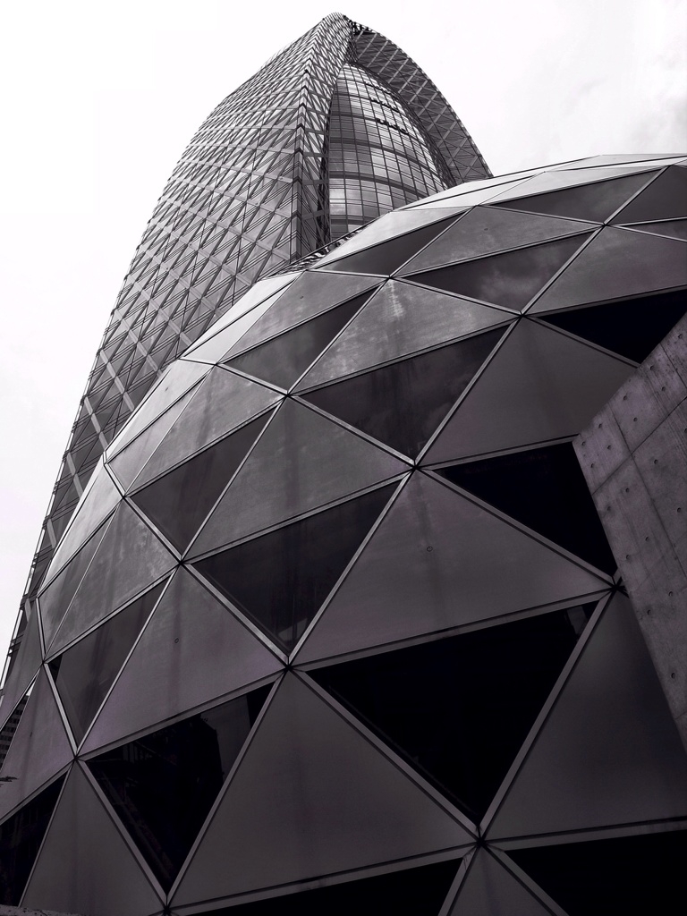 Mode Gakuen Cocoon tower（Ⅱ）
