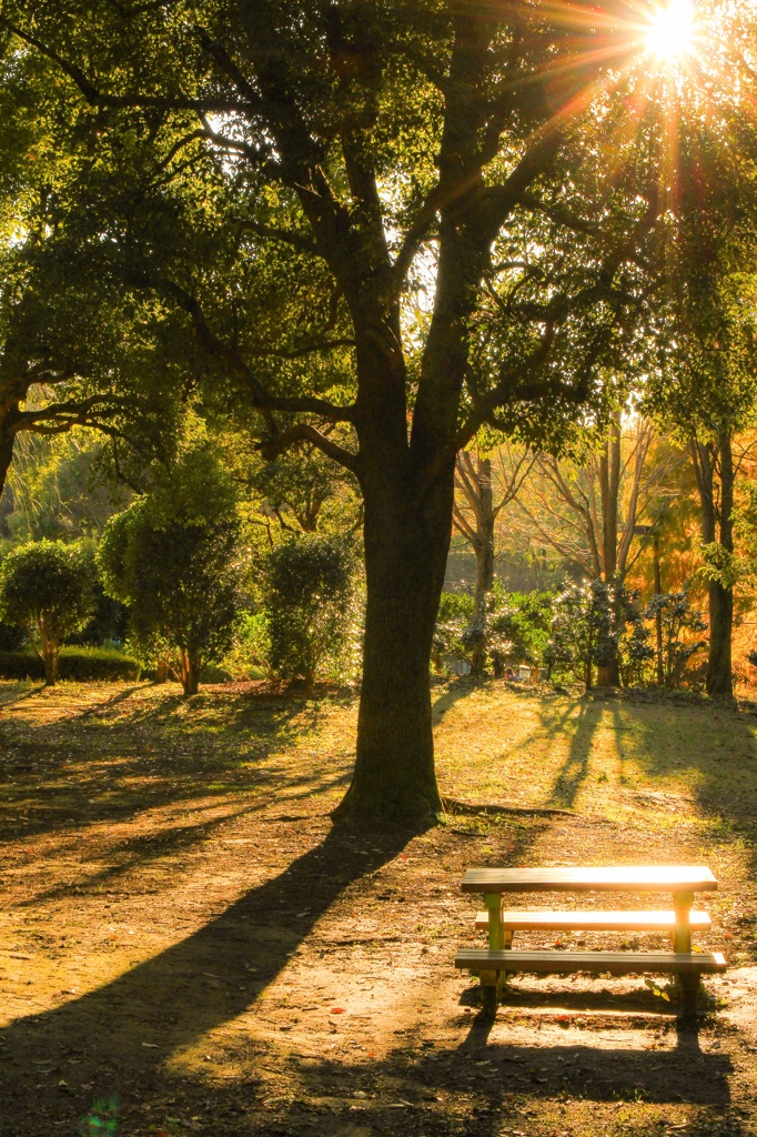 秋の公園