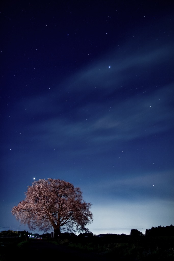 春の夜に