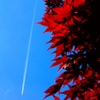 Contrail