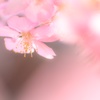 Spring colors