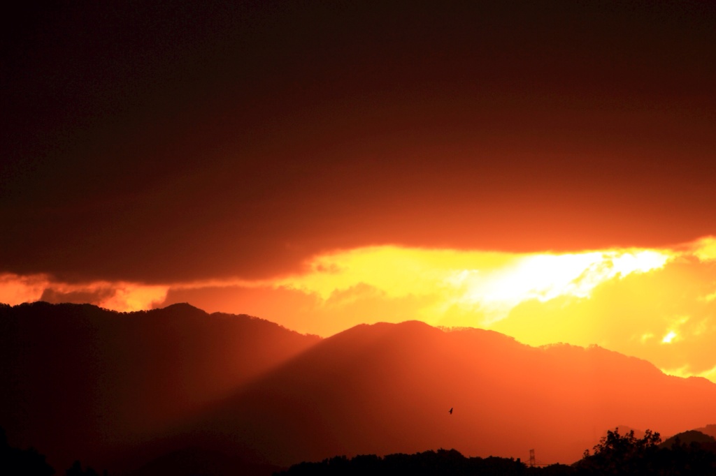 夕眩