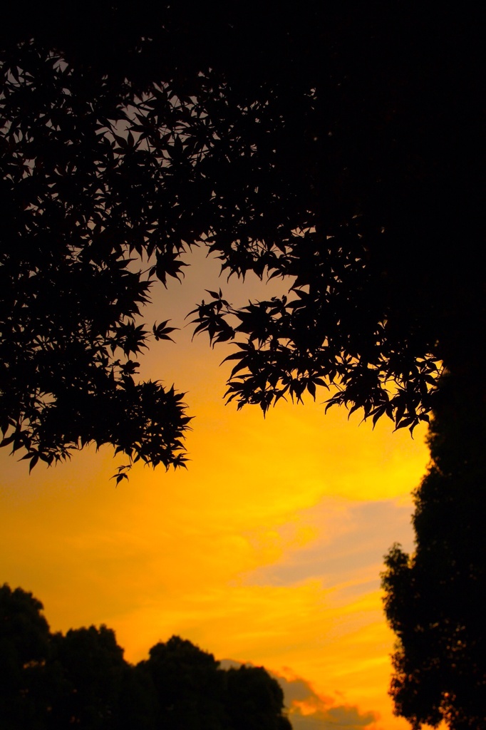 夕茜