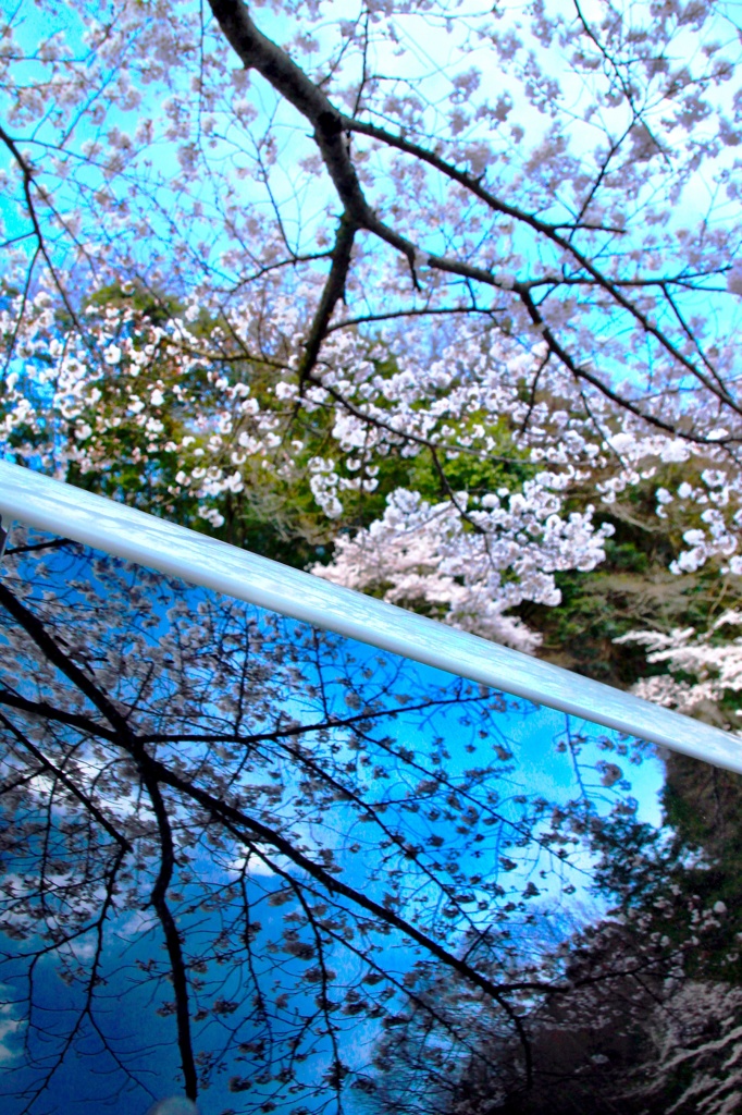 spring window 2