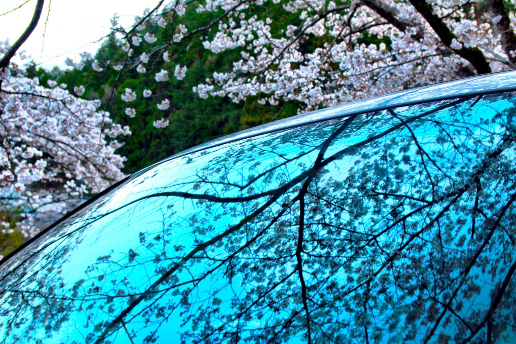 spring window 1
