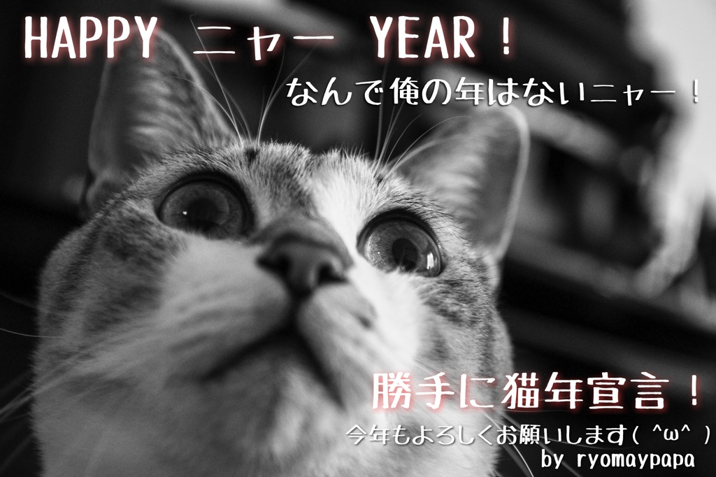 今年もよろしくお願いします( ^ω^ )