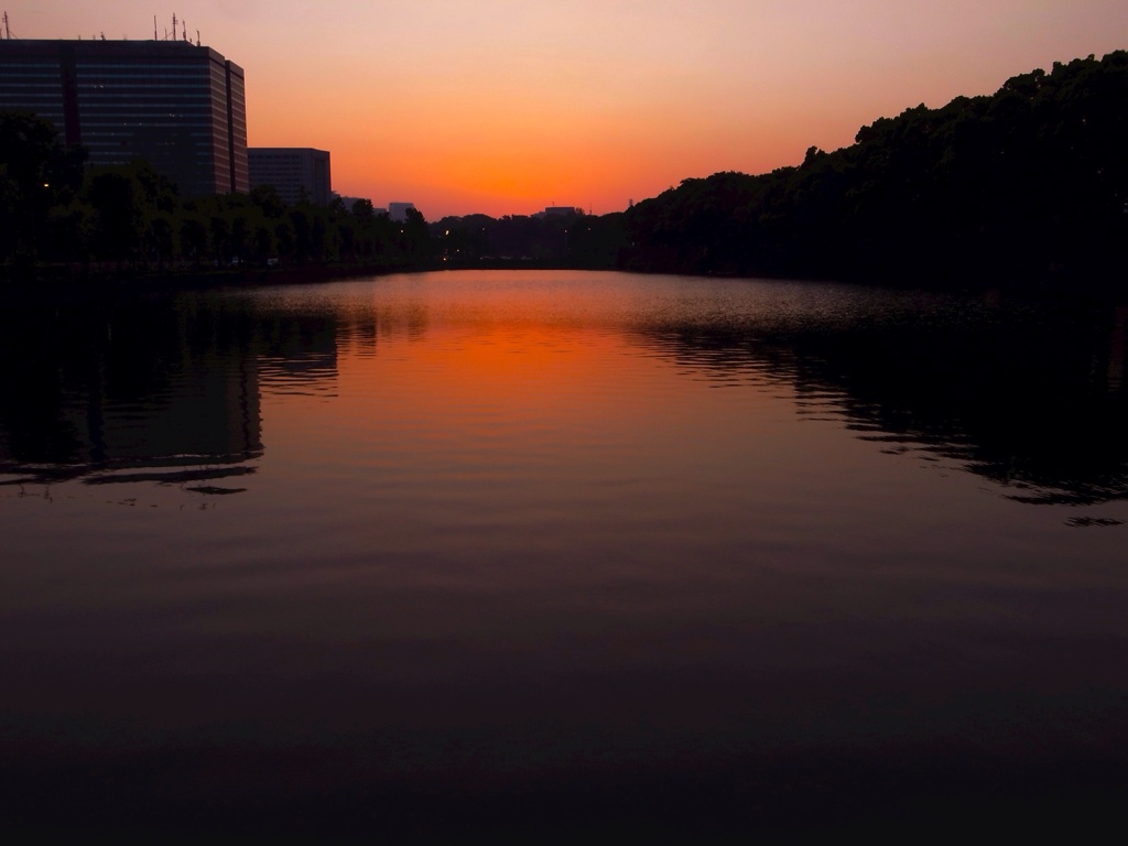 夕暮れ