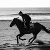 馬を駆る