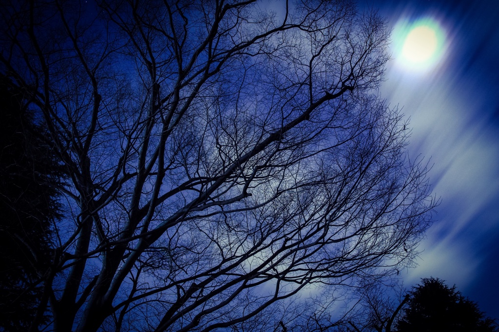 Moon night