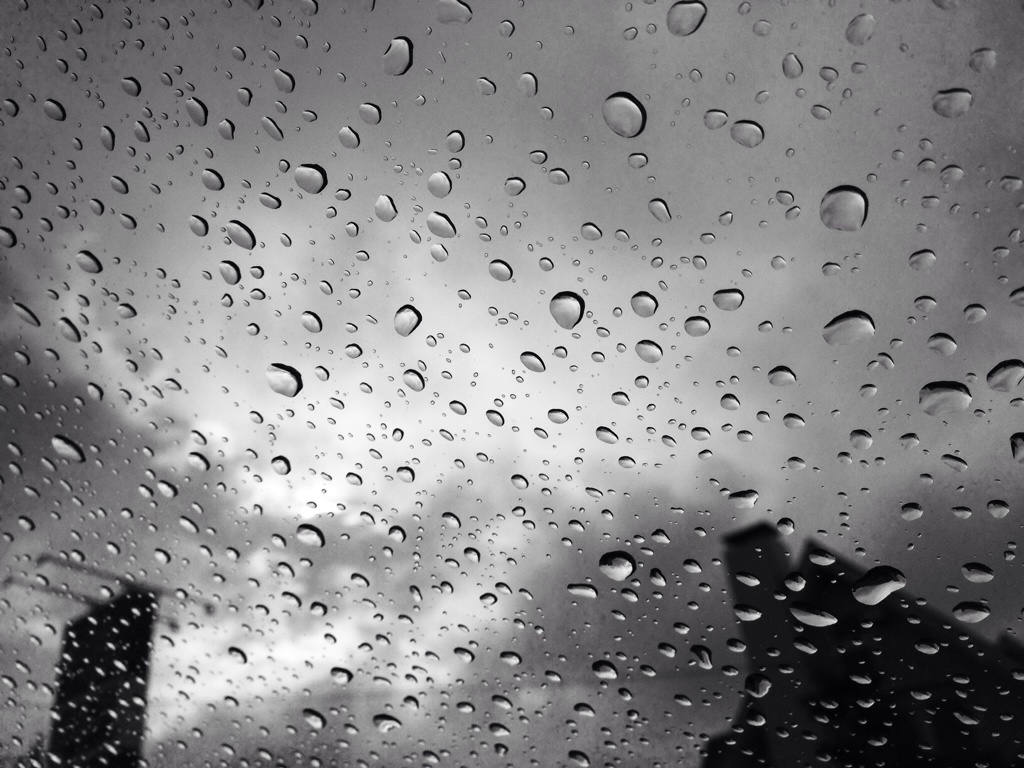 after the rain