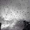 after the rain