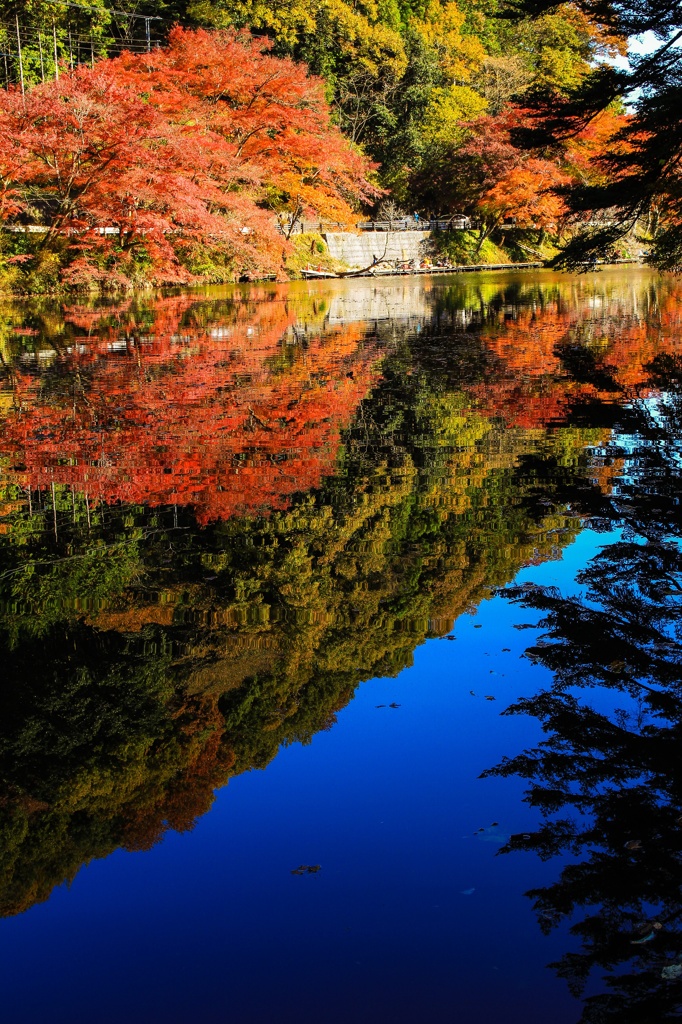 晩秋の鎌北湖