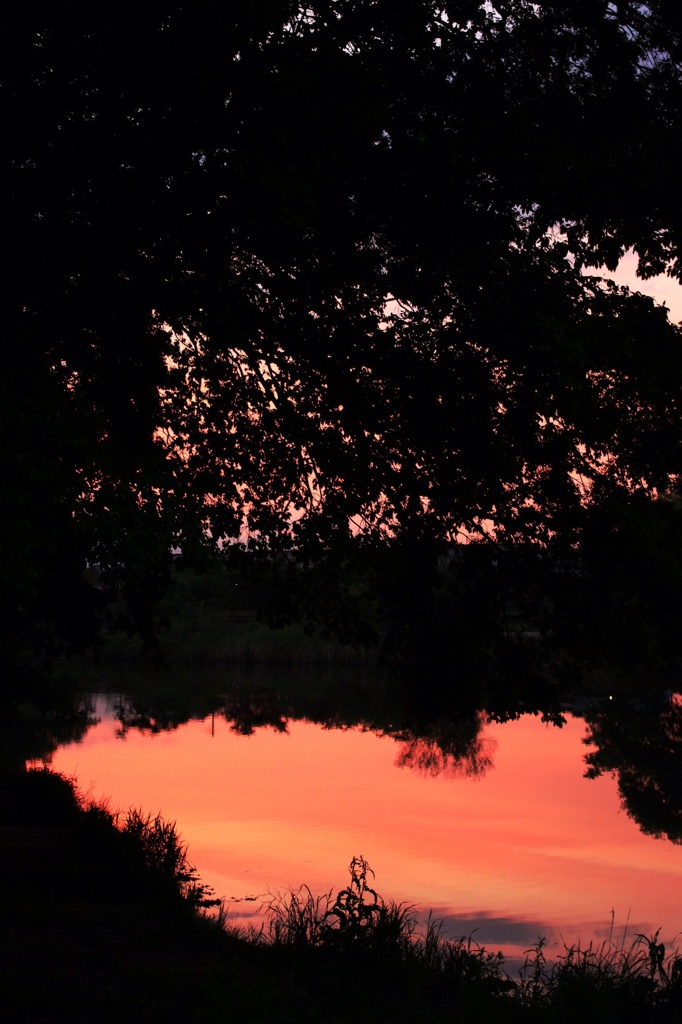  sunset glow 