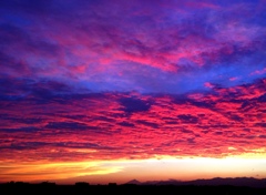 夕燃