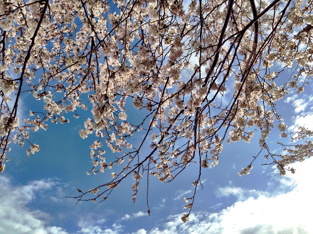 雨上がりの青空