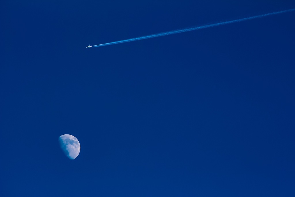 moonflight
