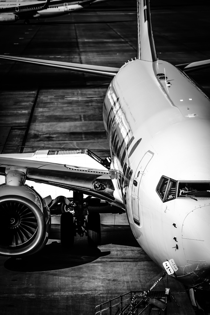 Solaseed Air BOEING737-800