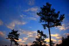 光雲の朝