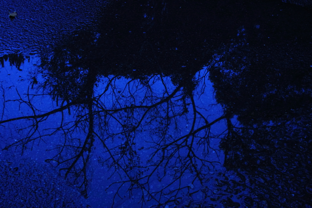 水鏡