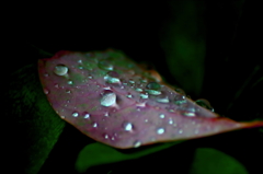 rainy day 