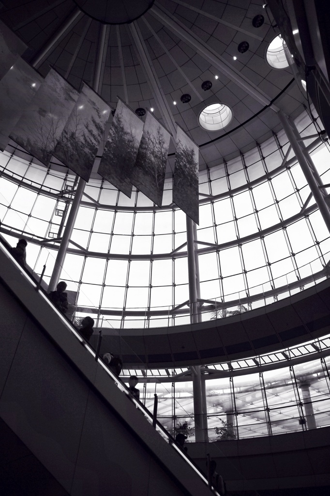 Haneda Airport in 2014 XXXIX