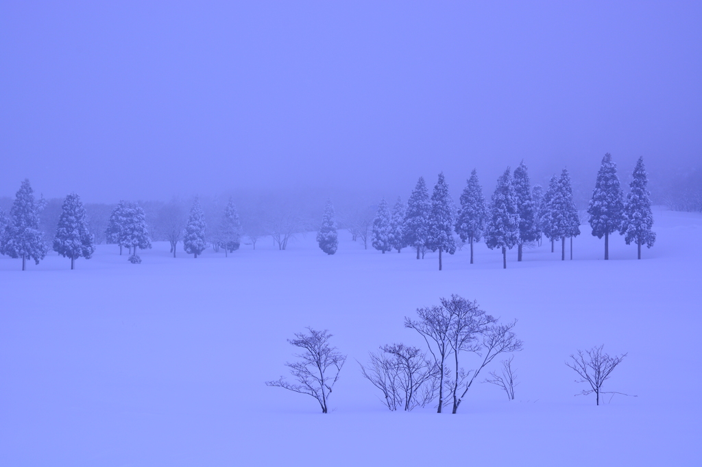 雪景