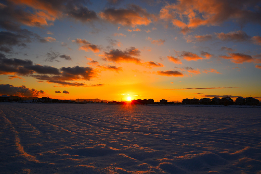 夕日に染まる雪田