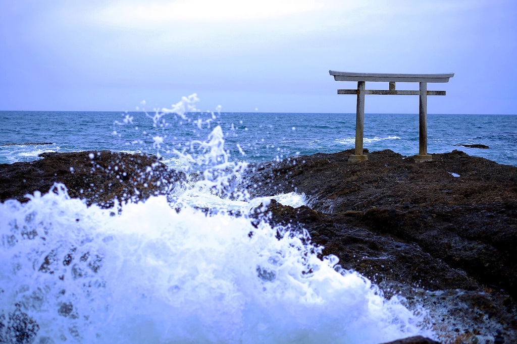 海奉る