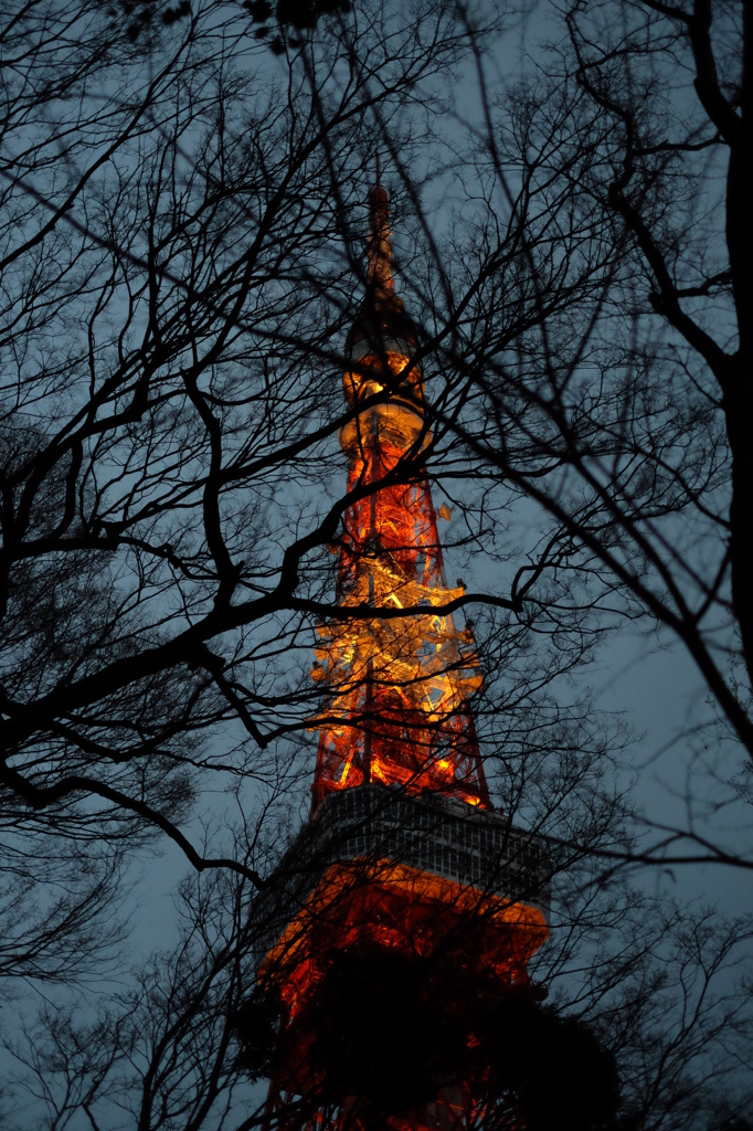 東京タワー