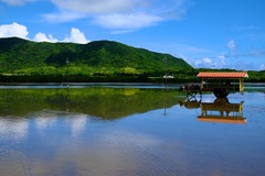 山並みと水牛と