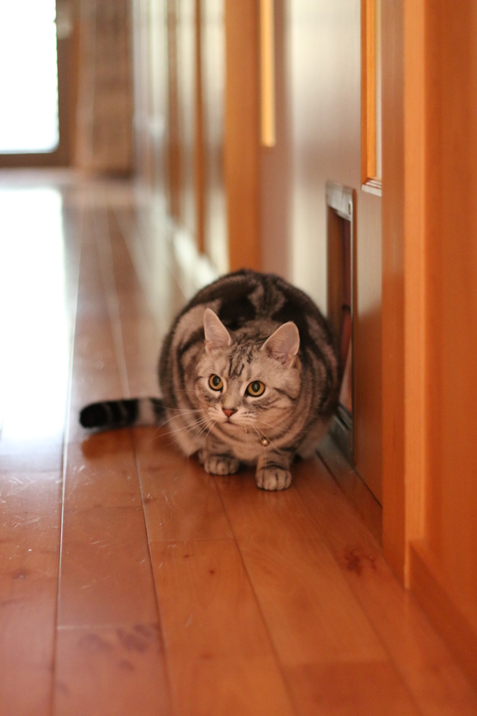 狙いを定めて。