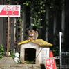 いらっしゃいませ