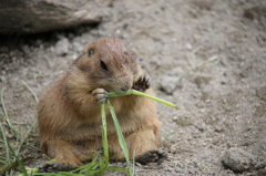 食べすぎ？？