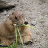 食べすぎ？？